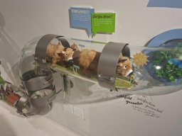 Turnfahrt 2025